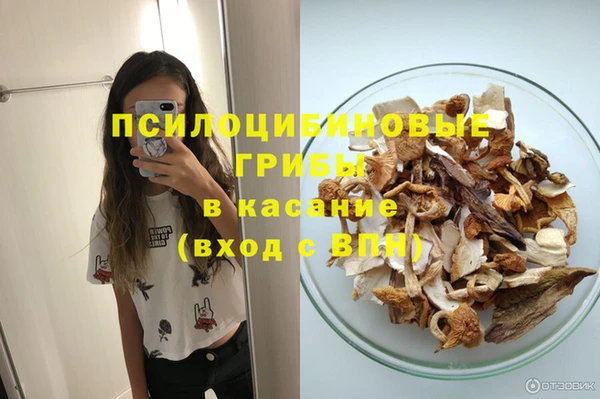 трава Переславль-Залесский