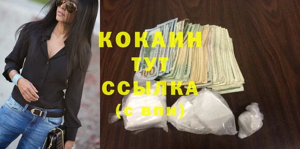прущие крисы Пересвет