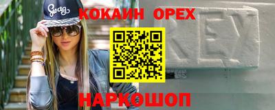 гидра Заводоуковск