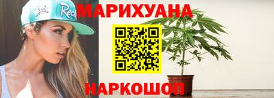 гидра Заводоуковск