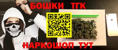 гидра Заводоуковск
