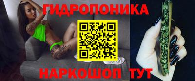 ПСИЛОЦИБИНОВЫЕ ГРИБЫ Заволжье