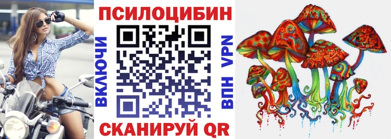 блэк спрут tor  продажа наркотиков  Кулебаки  Псилоцибиновые грибы Cubensis 