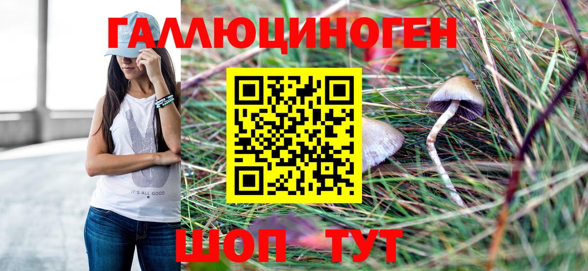 Галлюциногенные грибы ЛСД Кулебаки