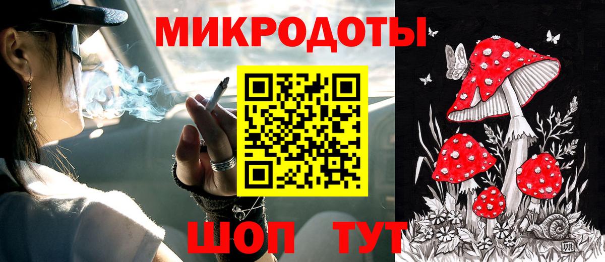 Галлюциногенные грибы Psilocybe Кулебаки